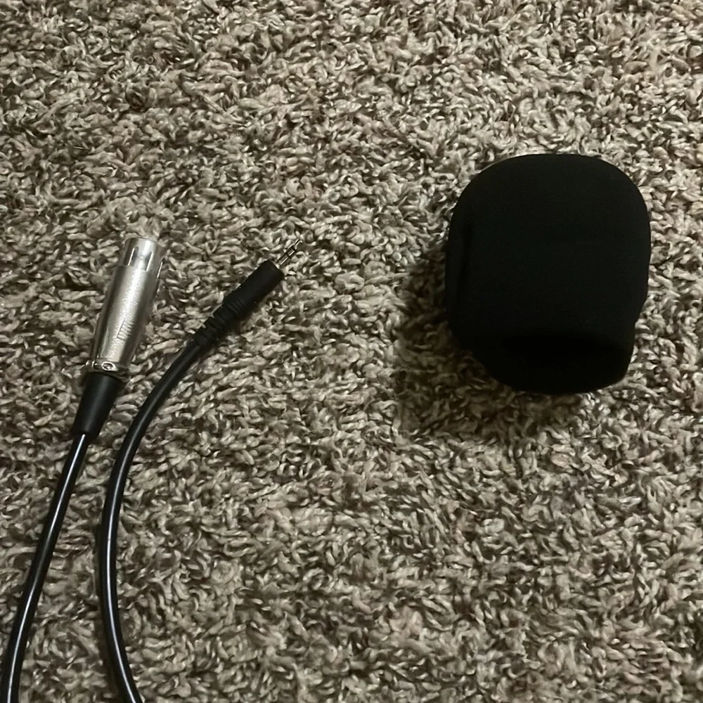 Cisno Professional Condenser Microphone